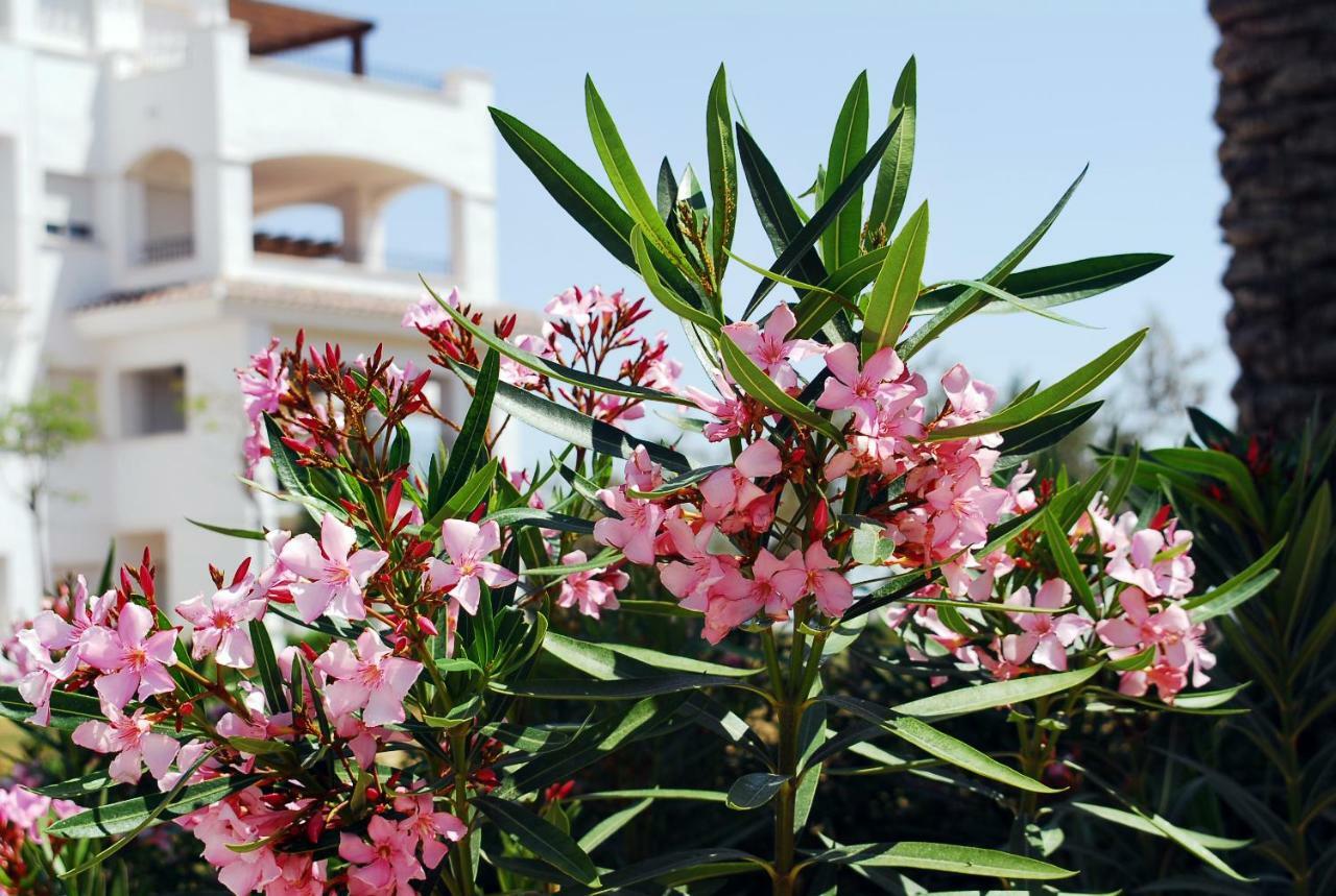 Casa La Torre Hébergement de vacances